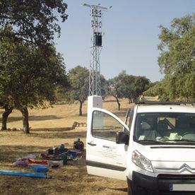 [Company_name_branding] Torre eléctrica de alta tensión